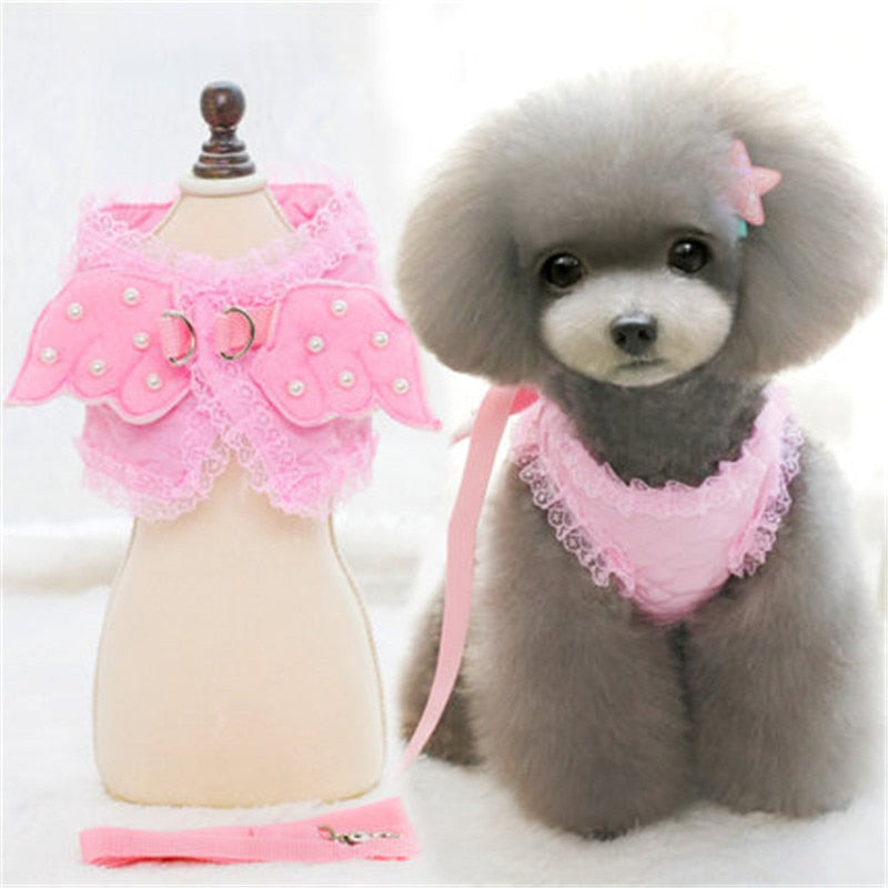 Coleira & Guia Pet Anjinho - Snouty™