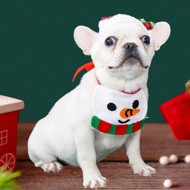 Babador Divertido de Natal - Furrish™