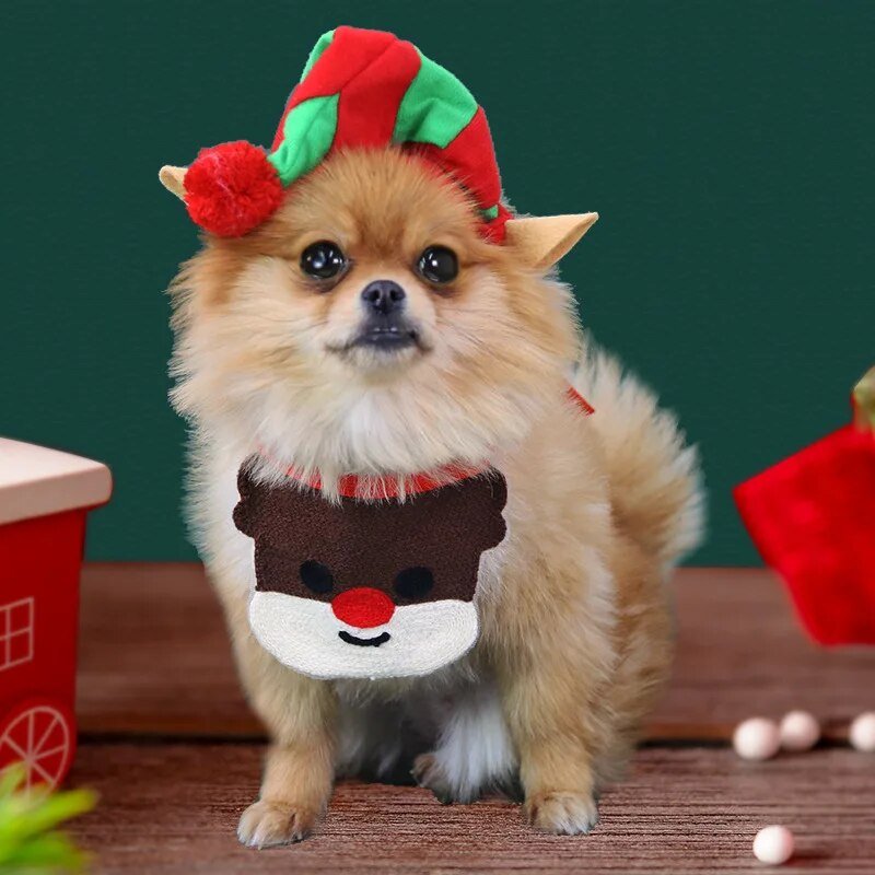 Babador Divertido de Natal - Furrish™