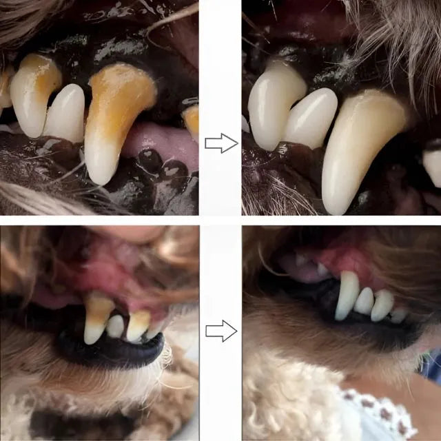 Caneta de Higiene Bucal – Elimina tártaros e refresca o hálito do seu pet