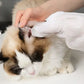 Luva de Limpeza a Seco Para cães e gatos