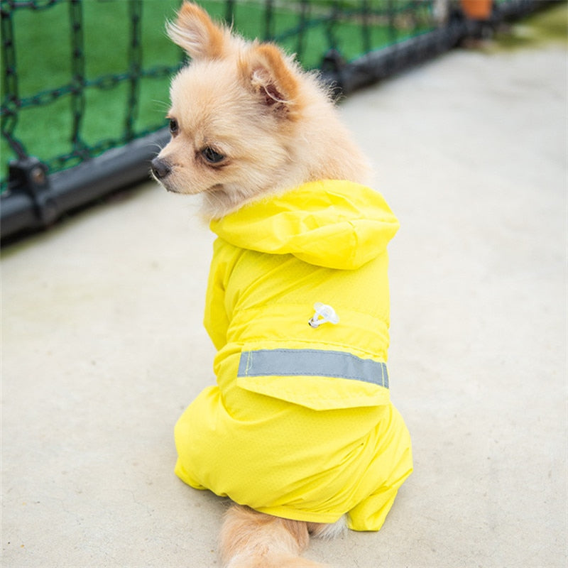 Capa De Chuva - Petzo™
