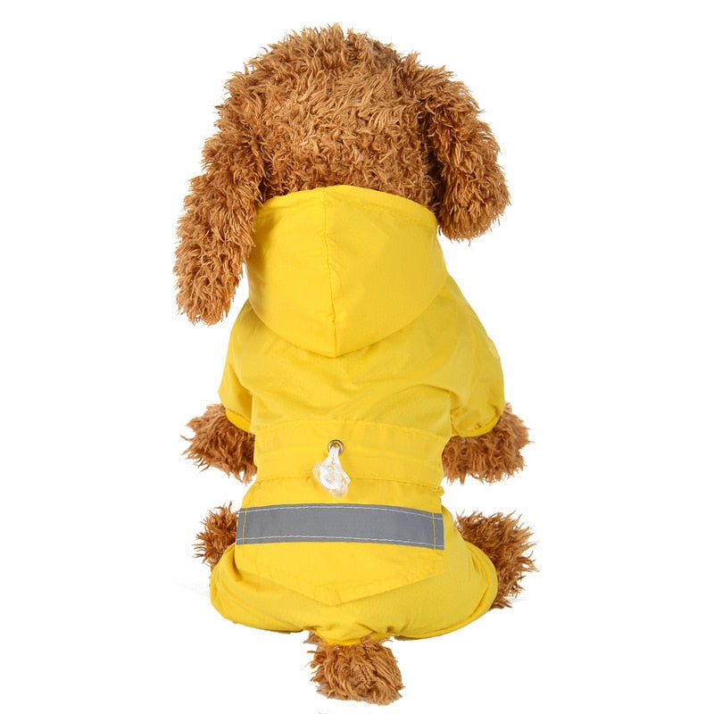 Capa De Chuva - Petzo™