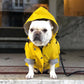 Capa De Chuva - Snouty™