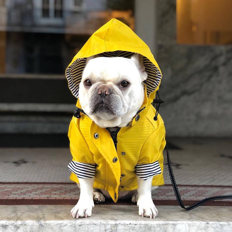 Capa De Chuva - Snouty™