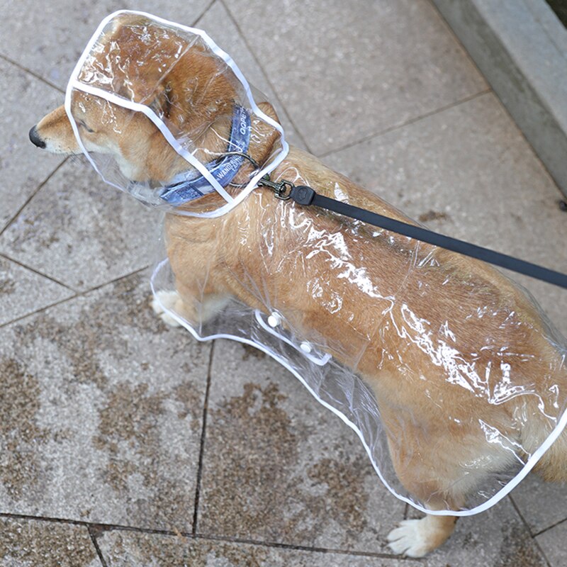 Capa de Chuva Pet - Barkify™