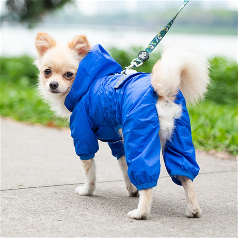 Capa De Chuva - Petzo™