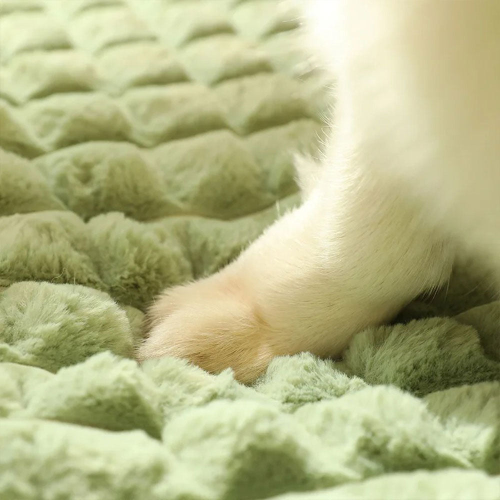 Cama Pet Luxo Woofline™