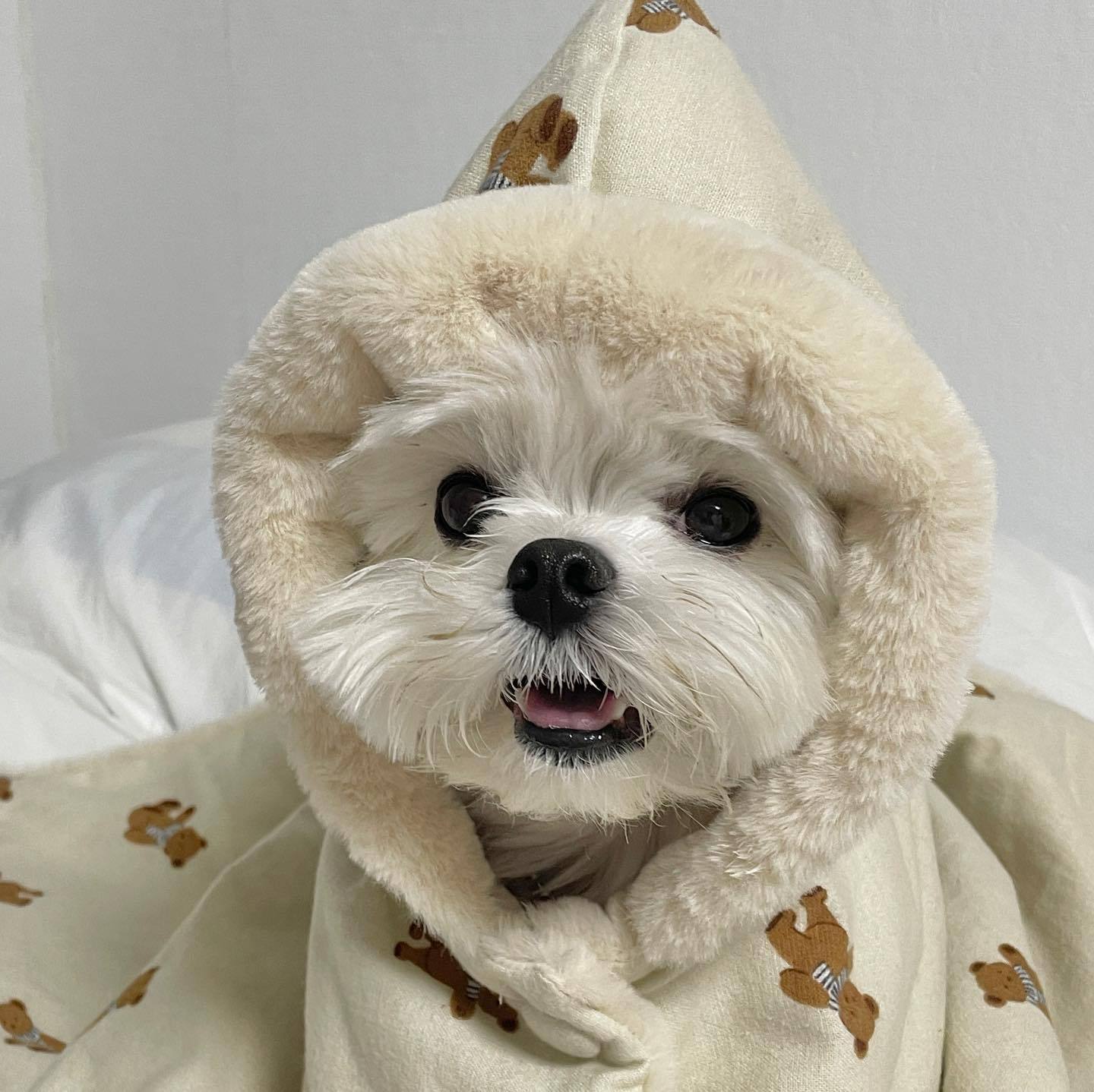 Capa Pet Cobertinha - Furrish™