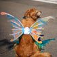 Asas de Borboleta Pet Brilhante - Kinect™
