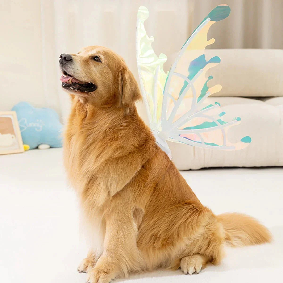 Asas de Borboleta Pet Brilhante - Kinect™