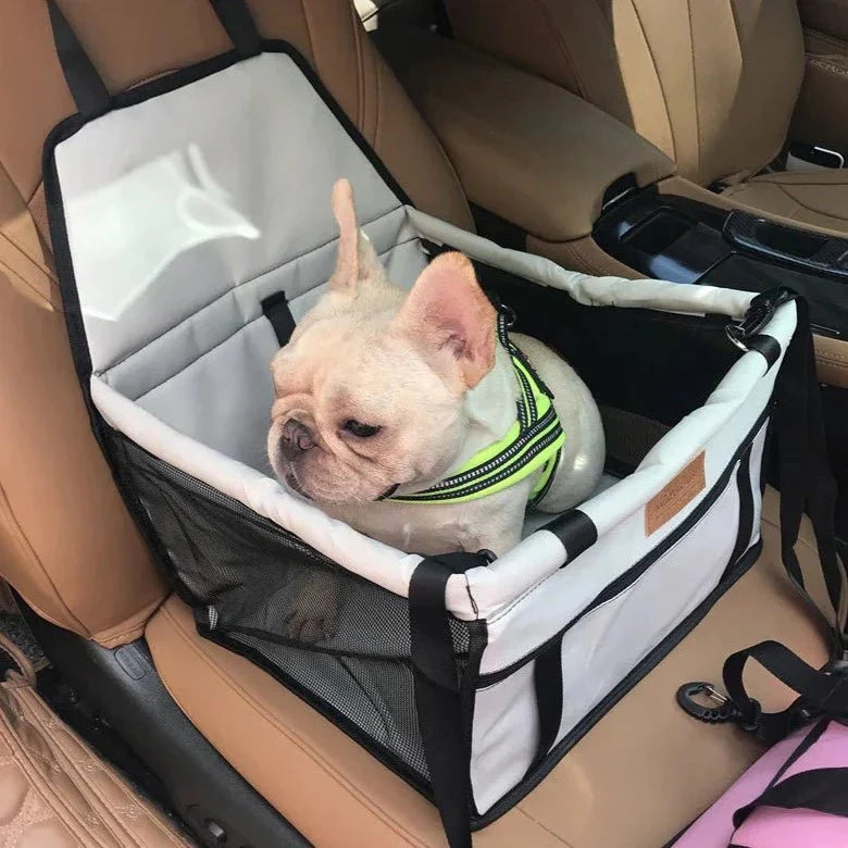 Assento de Carro Pet - Snouty™