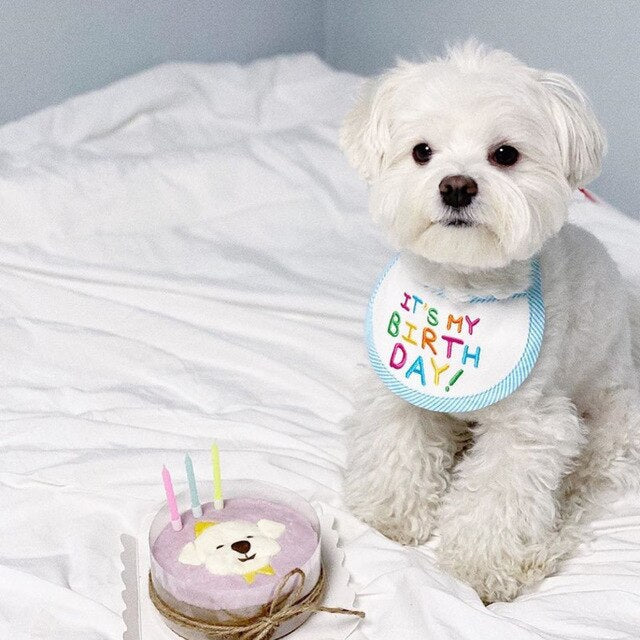 Babador Pet Birthday - Pawzly™