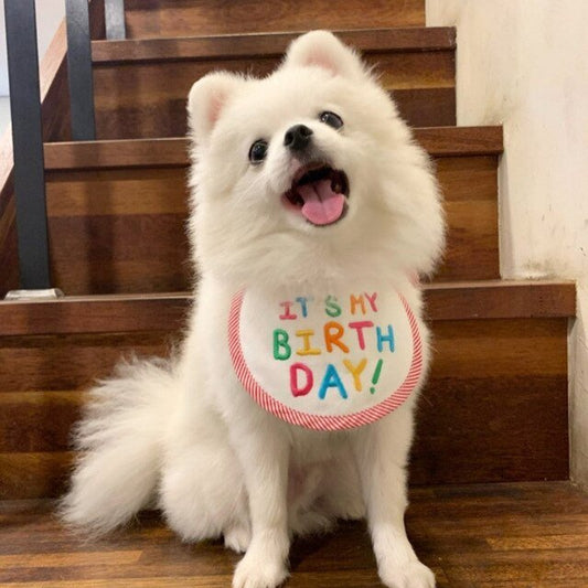Babador Pet Birthday - Pawzly™