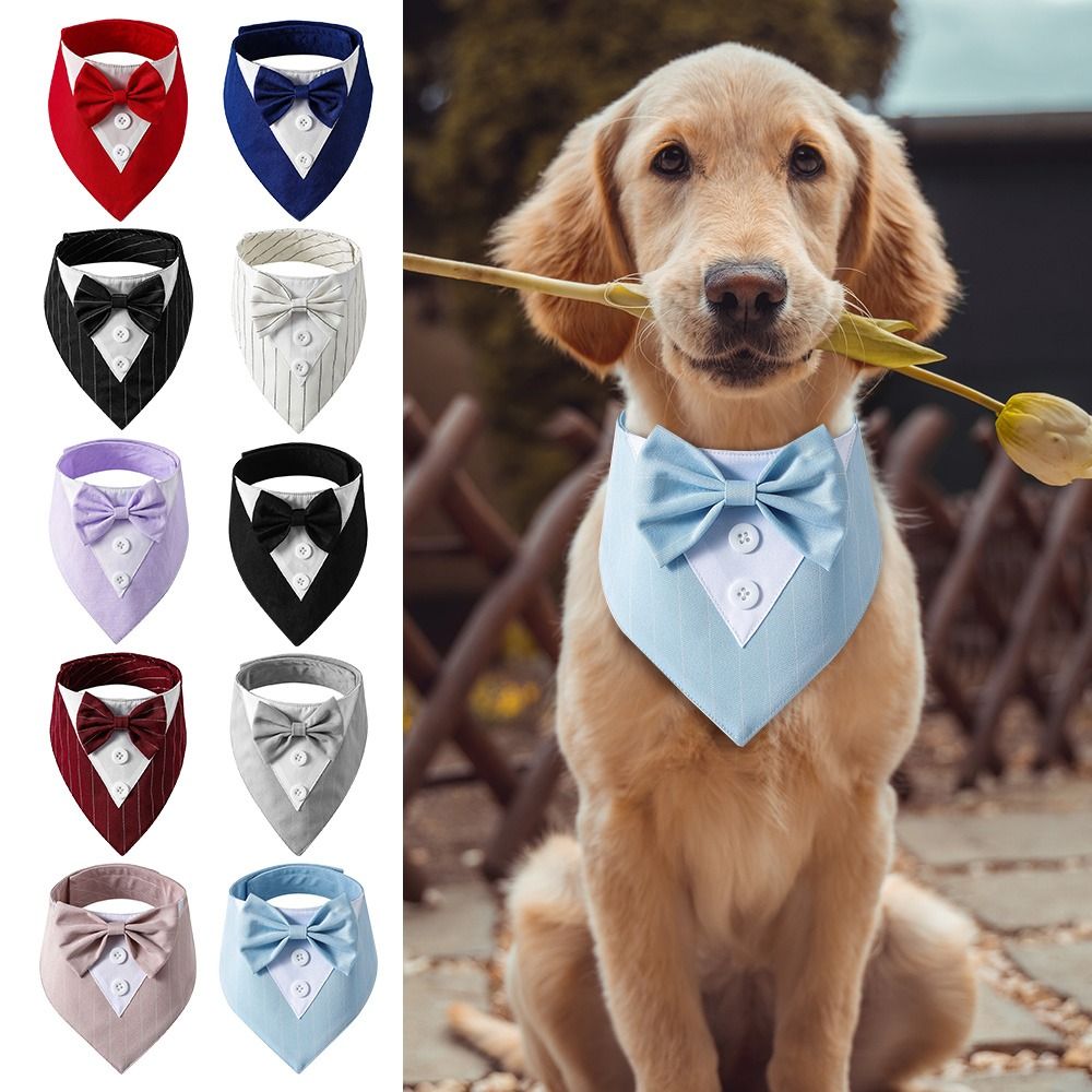 Bandana Fashion - Pawzly™