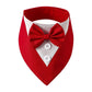 Bandana Fashion - Pawzly™