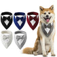 Bandana Fashion - Pawzly™