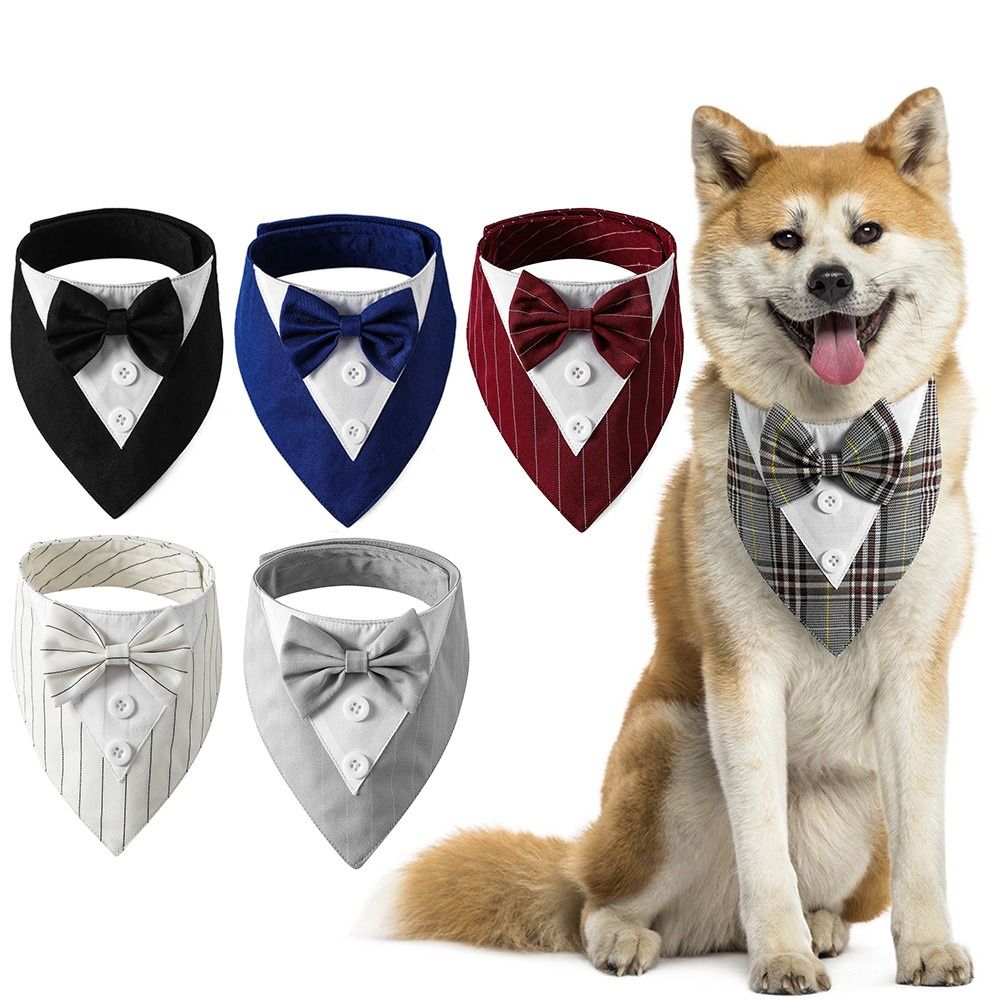 Bandana Fashion - Pawzly™