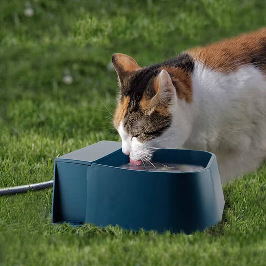 Bebedouro Automático para Pets - Snouty™