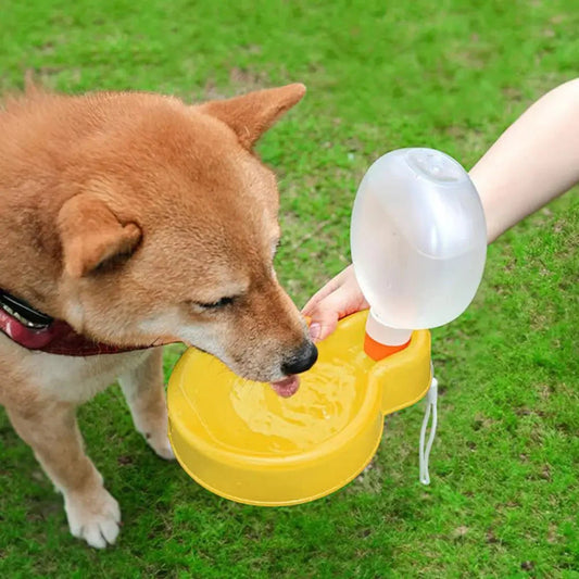 Bebedouro Automático Portátil - Lupzy™