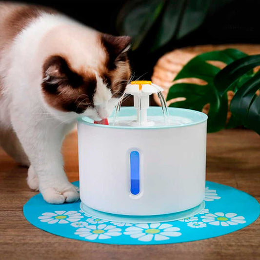 Bebedouro Gato Automático - Muttly™