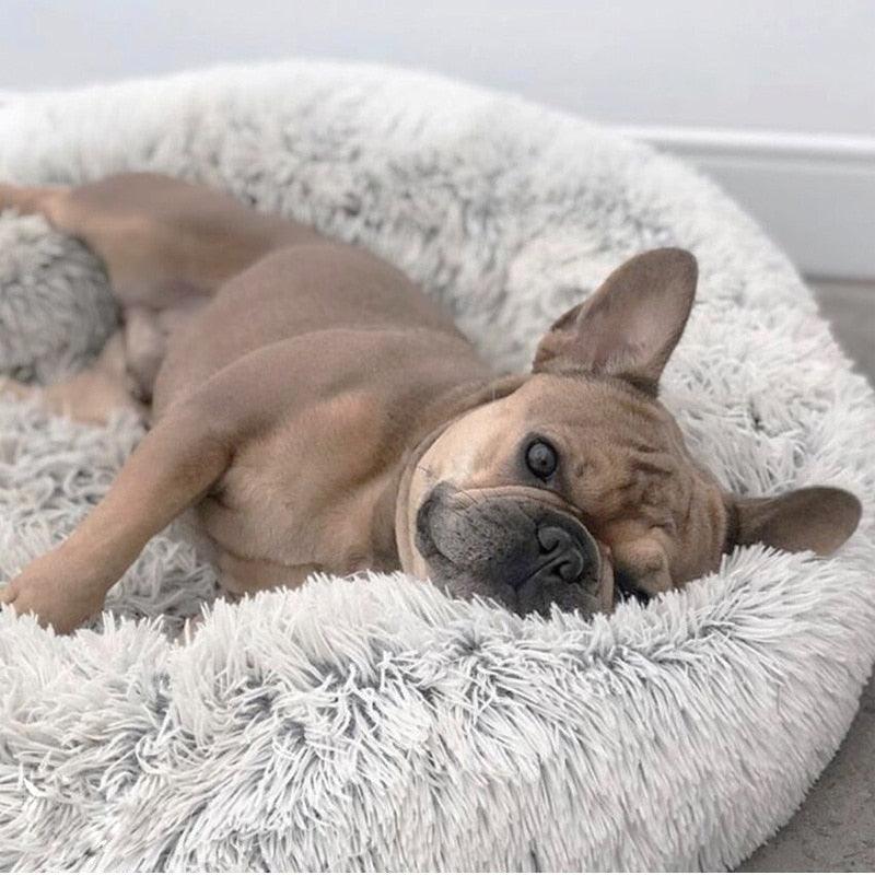Cama Anti-Ansiedade RelaxPet - Barkify™