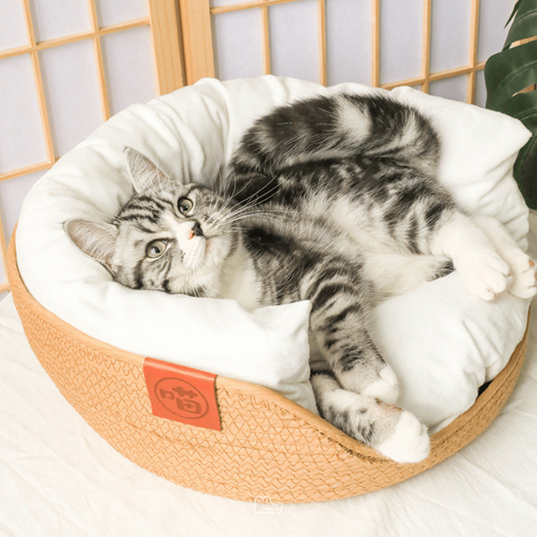 Cama de Bambu Natural para Pet com Travesseiros - Woofline™