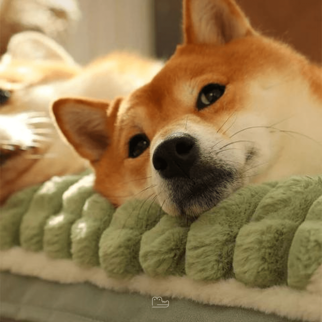 Cama para Cachorro CONFORTO - Lupzy™
