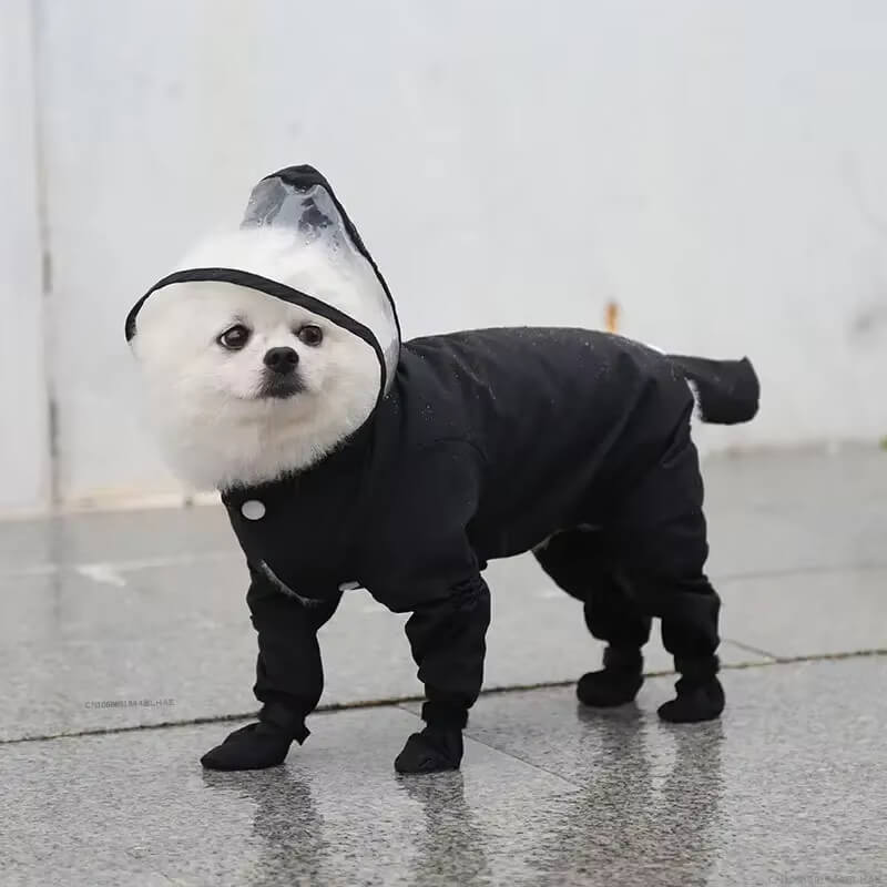 Capa de Chuva Pet - Lupzy™