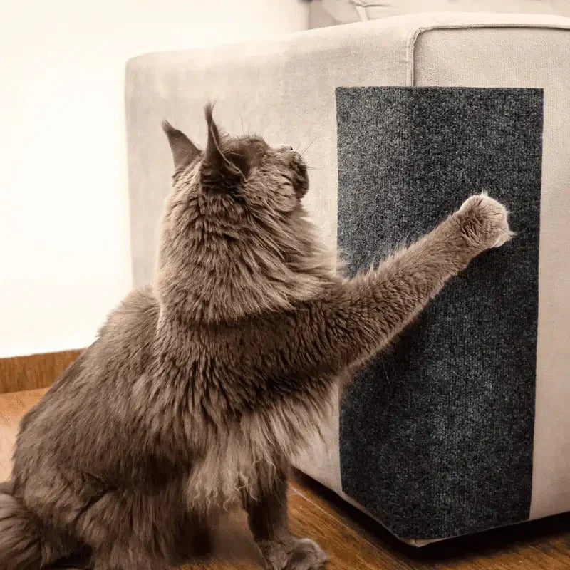 Carpete Protetor Multiuso para Gatos - Use em móveis, portas e paredes!