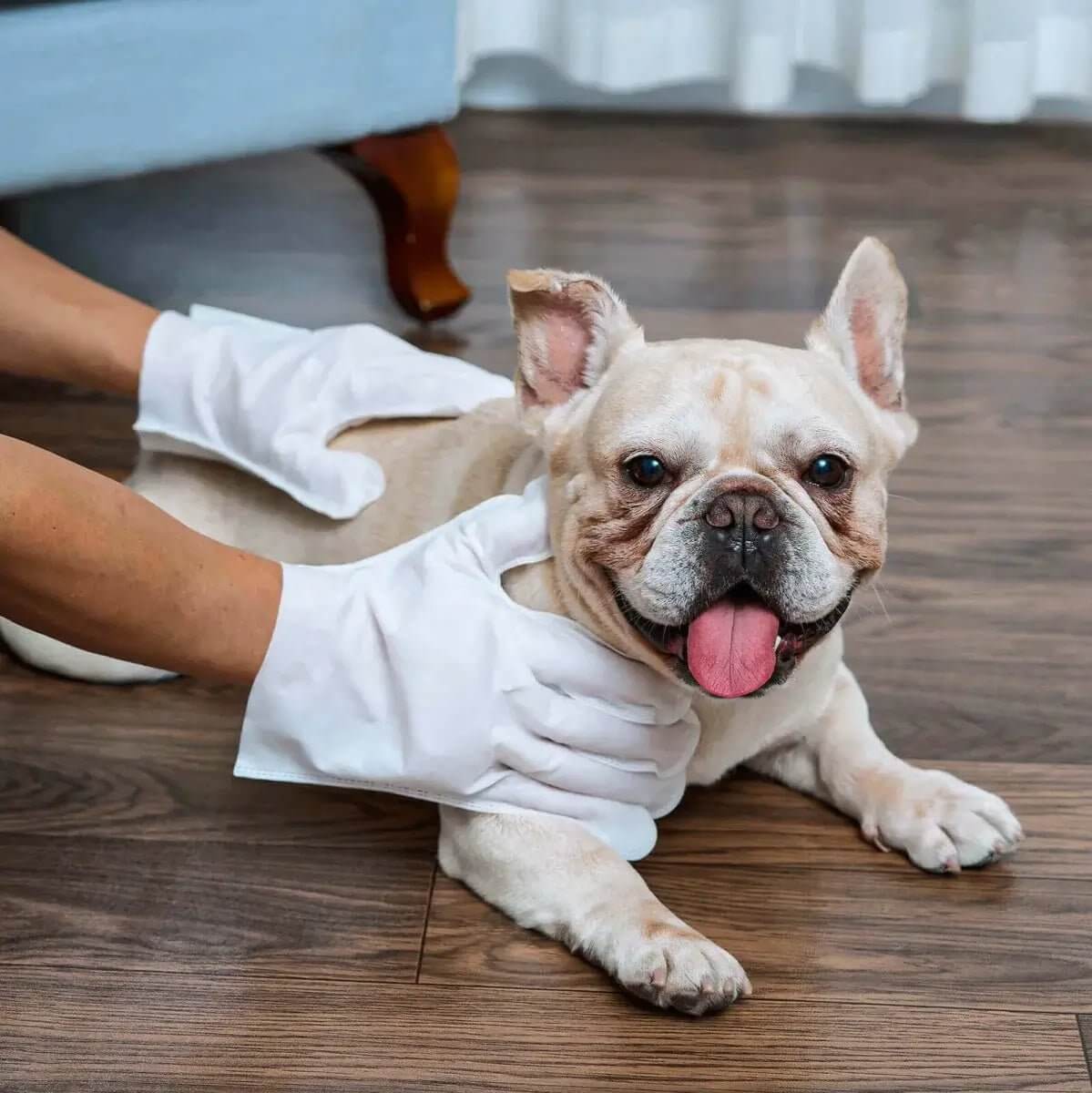 Luva de Limpeza a Seco Para cães e gatos
