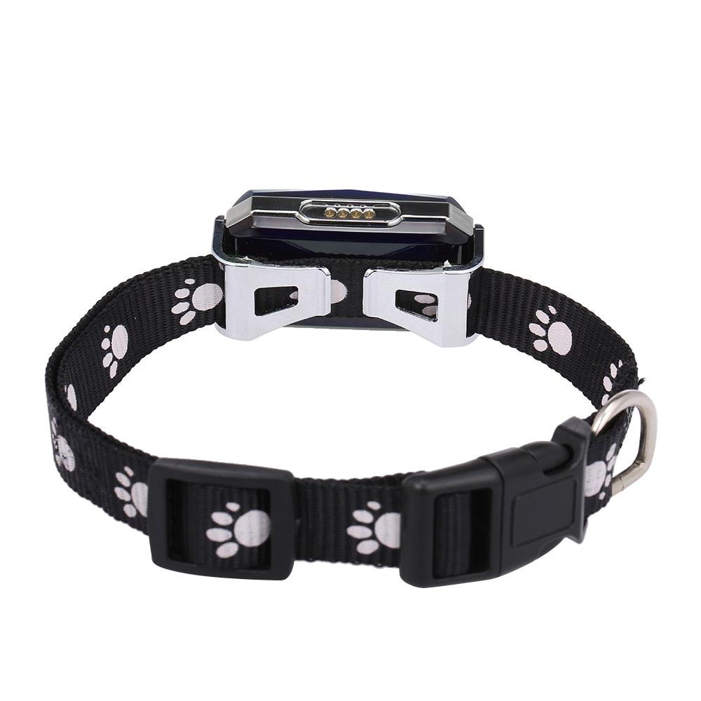 Coleira Com Gps Para Pets Precisão e Rapidez - Snouty™