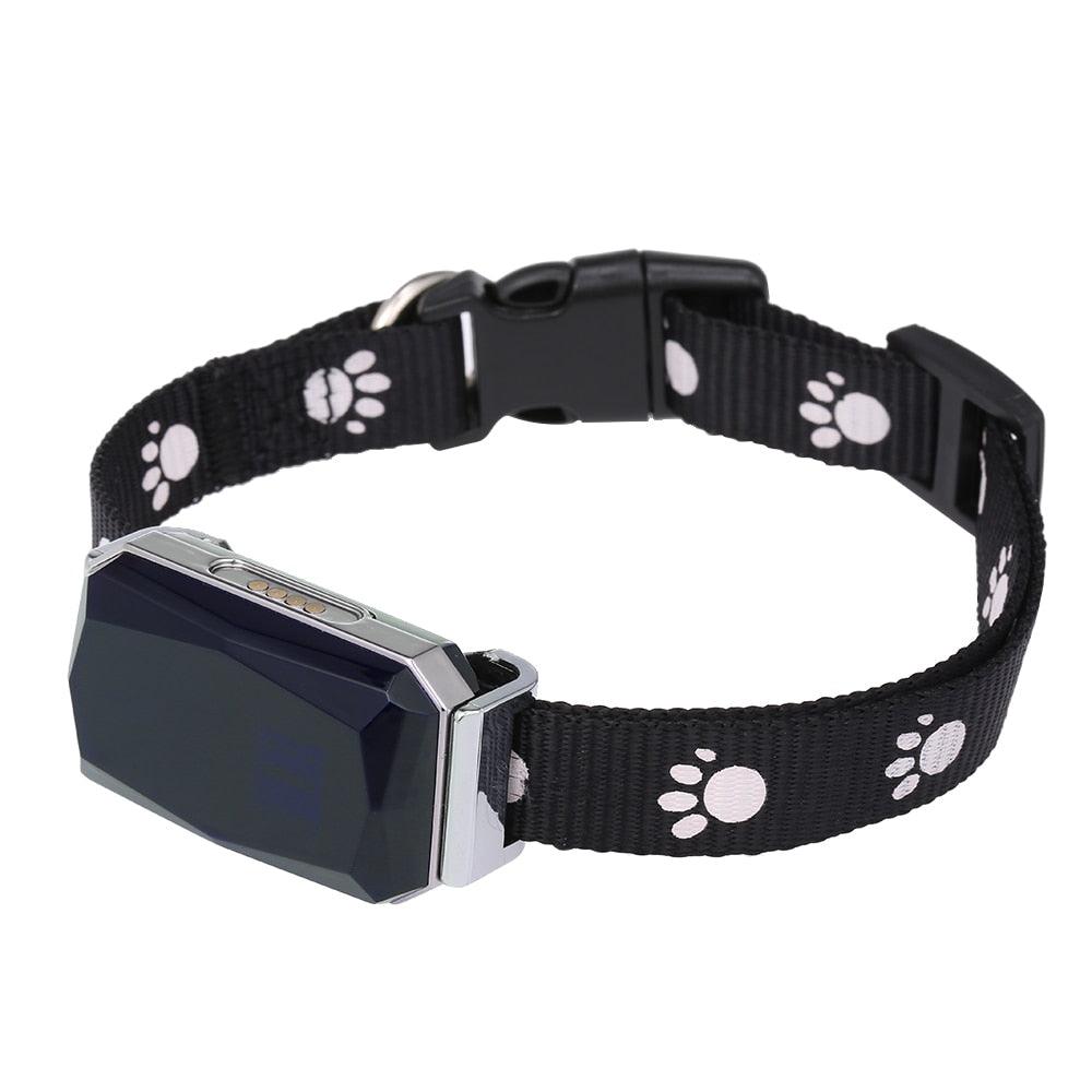 Coleira Com Gps Para Pets Precisão e Rapidez - Snouty™