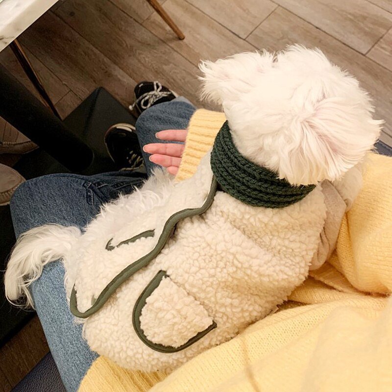 Colete Com Cachecol - Barkify™