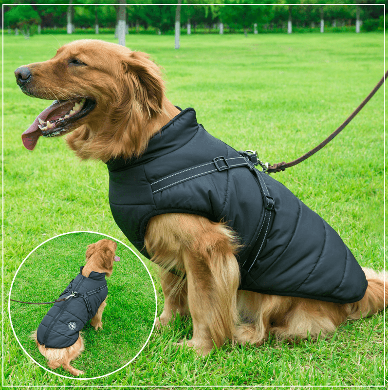 Colete Impermeável Vips - Muttly™