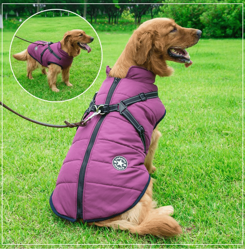 Colete Impermeável Vips - Muttly™
