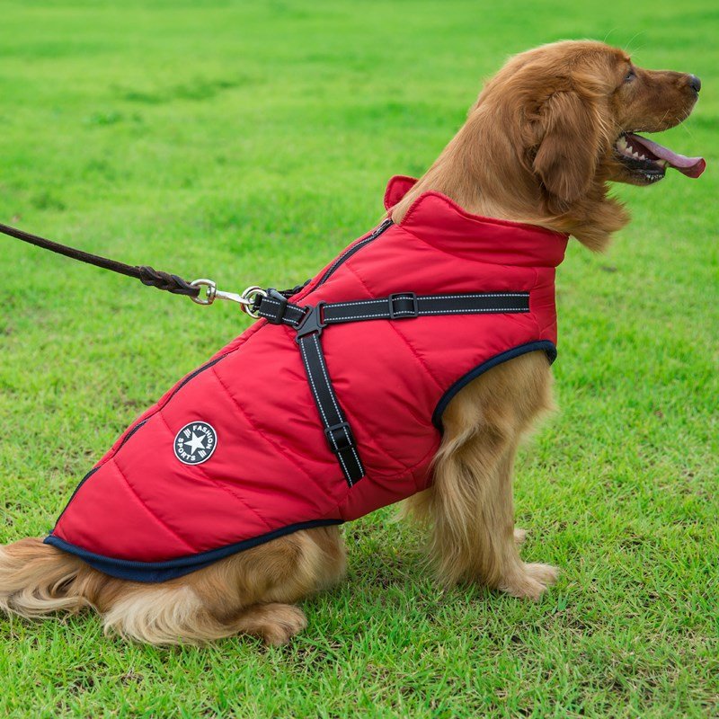 Colete Impermeável Vips - Muttly™