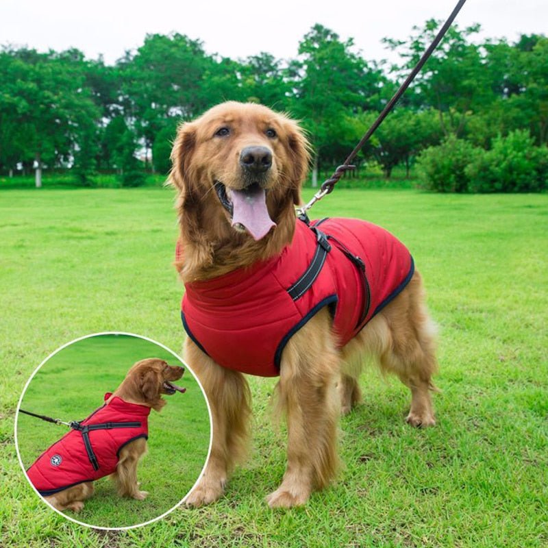Colete Impermeável Vips - Muttly™