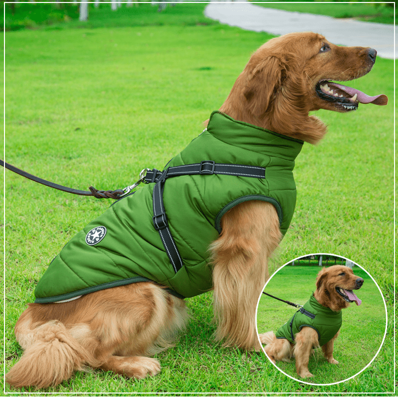 Colete Impermeável Vips - Muttly™