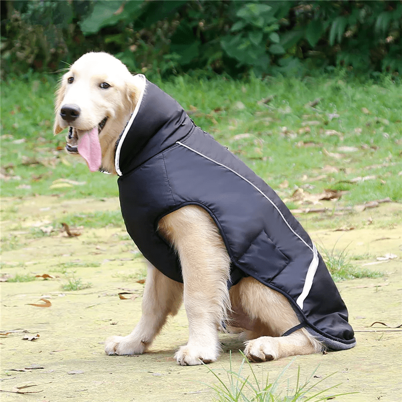 Colete Inverno Impermeável - Duty™