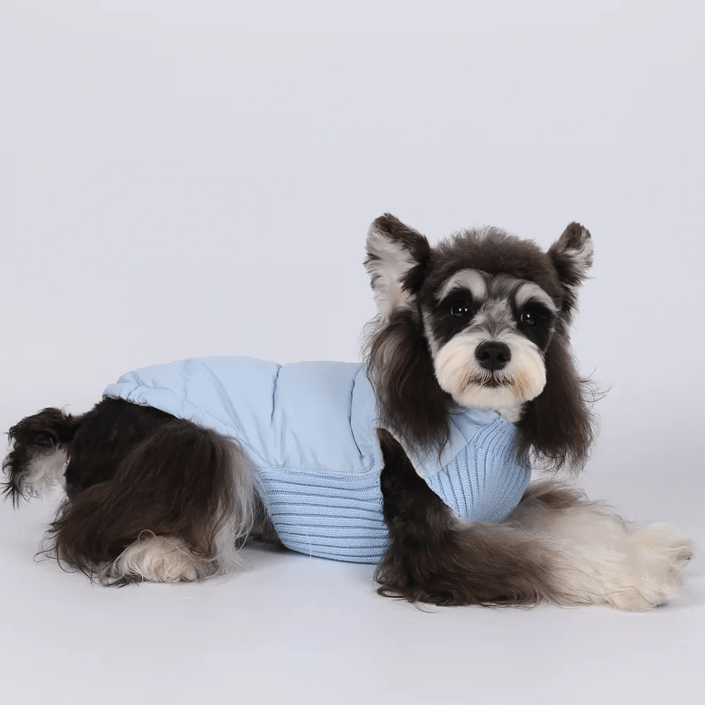 Colete Pet - Duty™
