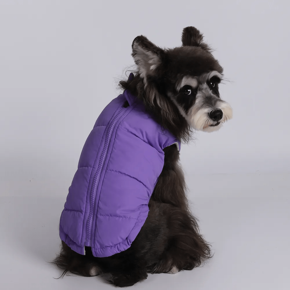 Colete Pet - Duty™