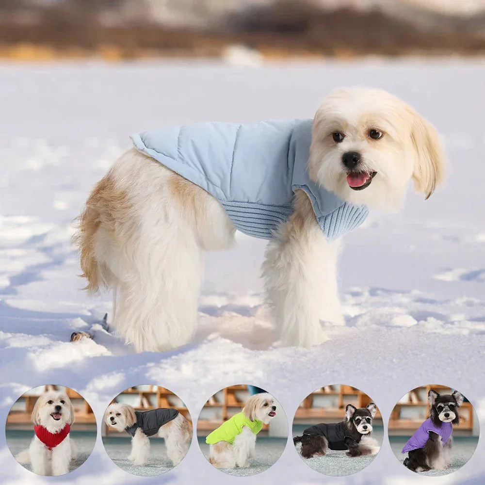 Colete Pet - Duty™