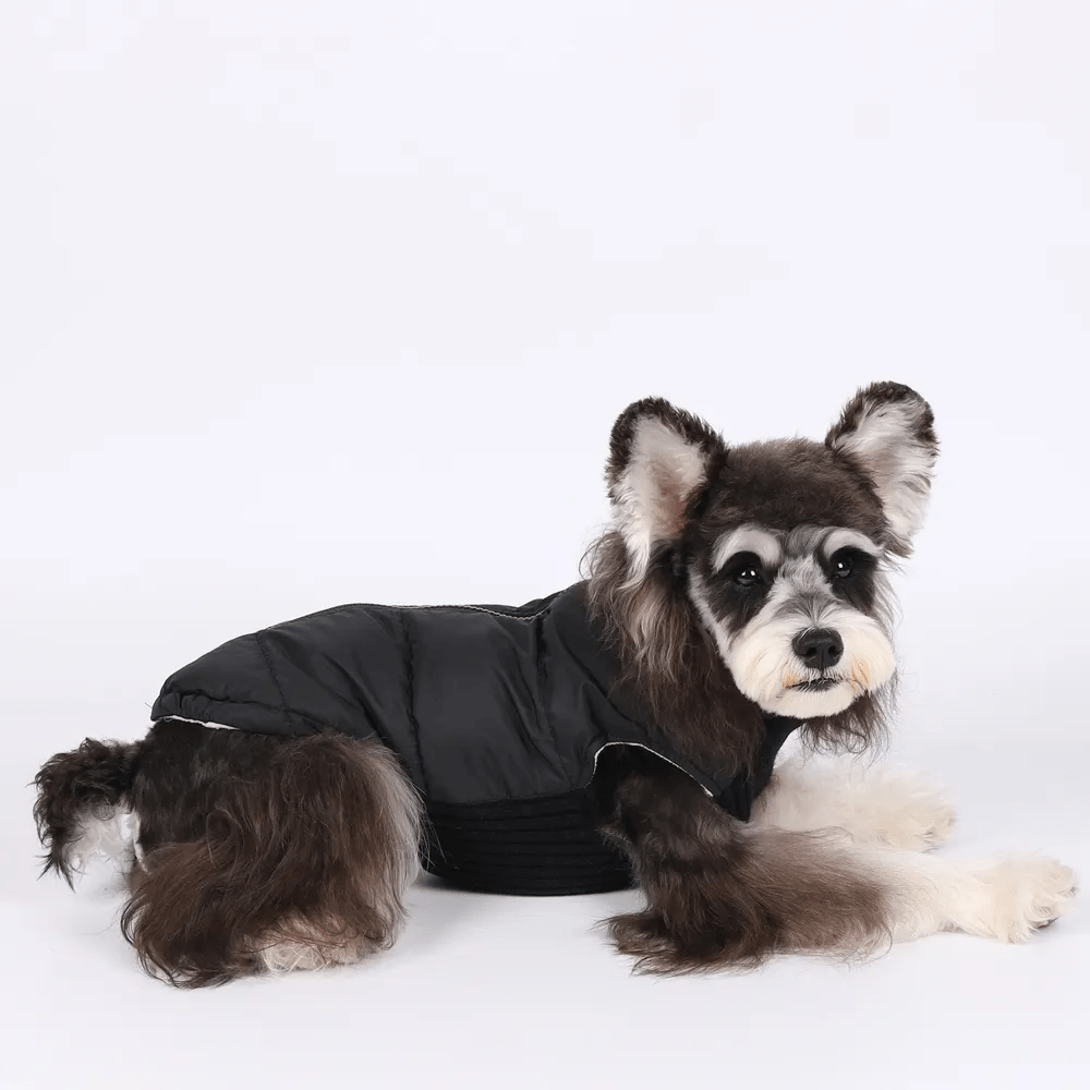 Colete Pet - Duty™