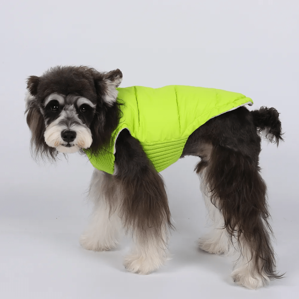 Colete Pet - Duty™