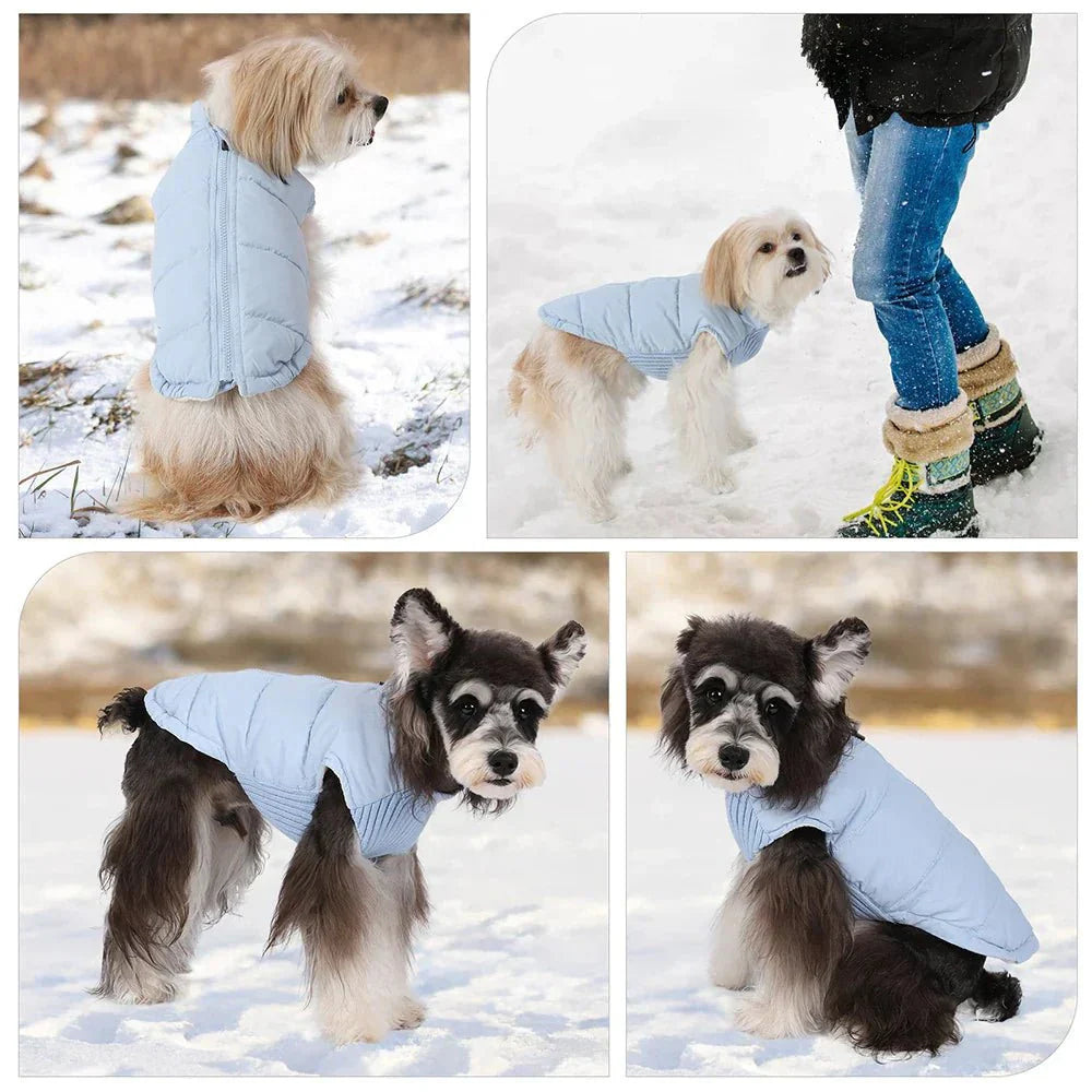 Colete Pet - Duty™