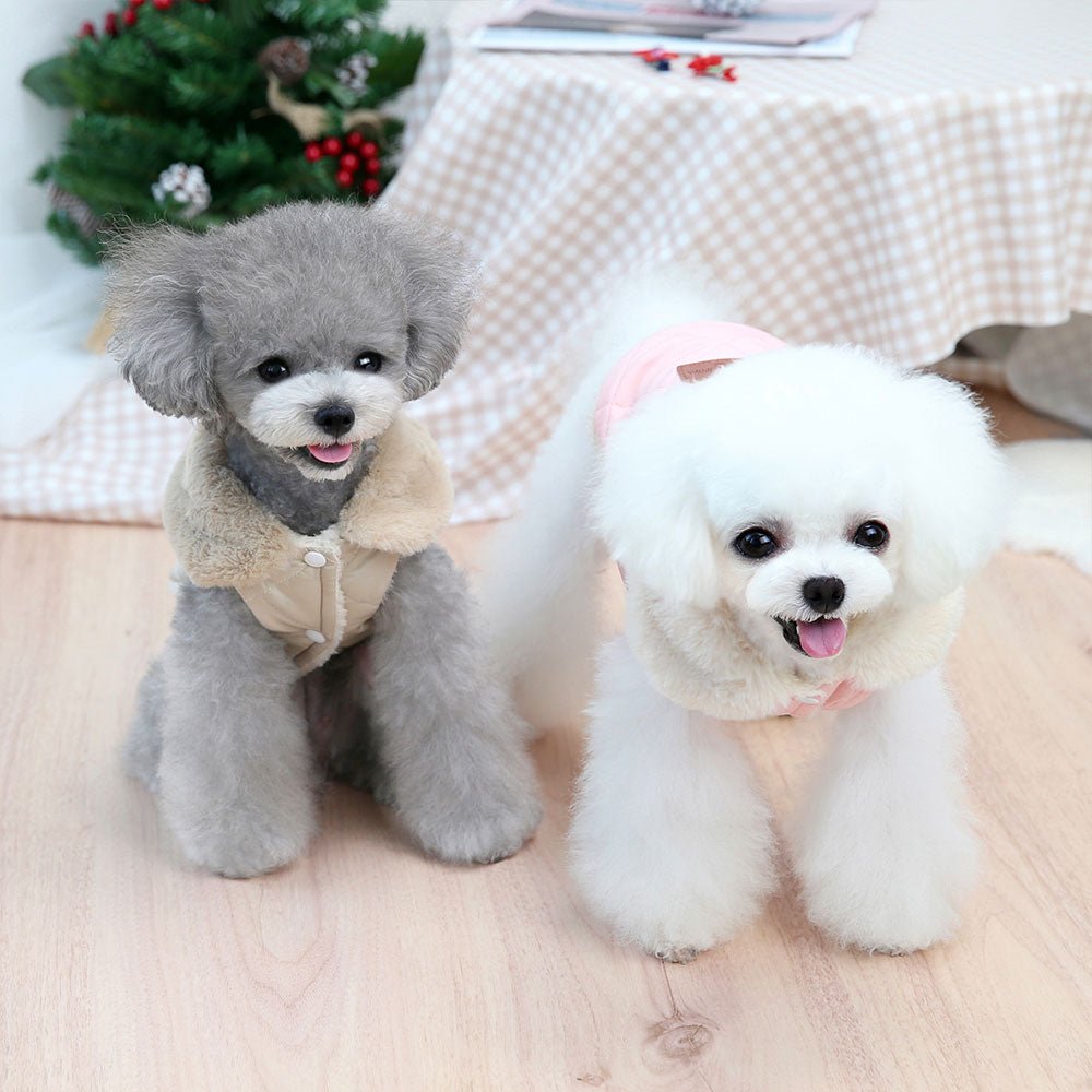 Colete Pet Premium - Duty™