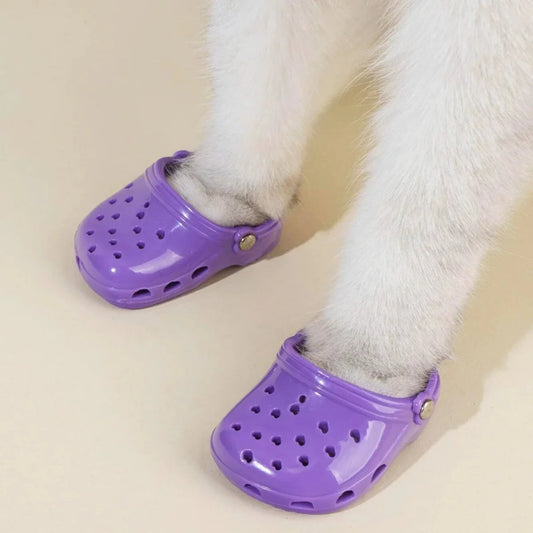 Crocs para Pets- Petzo™