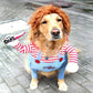 Fantasia Chucky Para Cachorro - Duty™