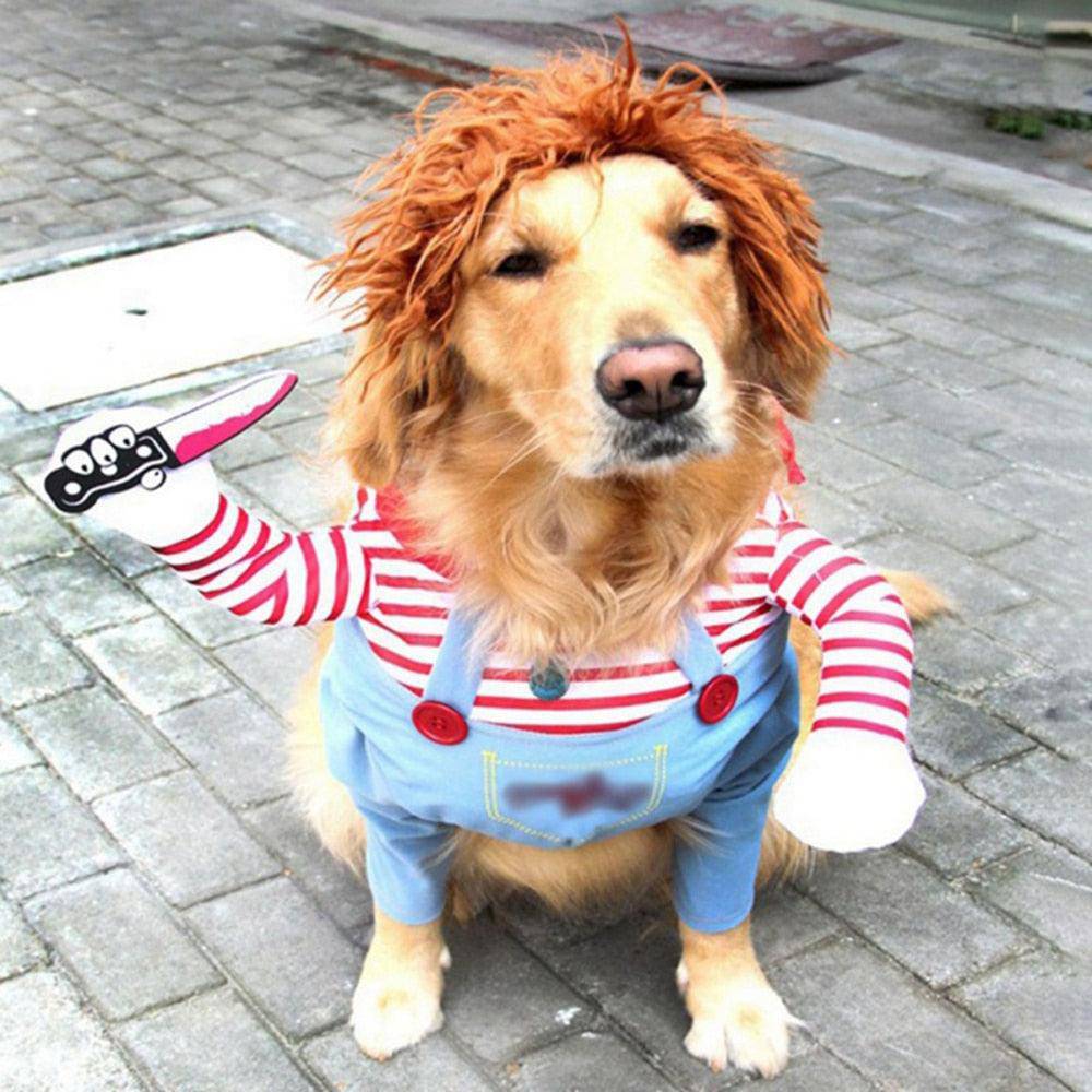 Fantasia Chucky Para Cachorro - Duty™